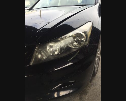 2155E695-E523-48F4-87C1-AED7E8E331AD