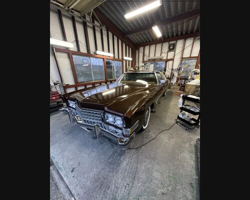 9B465B09-A1CA-4590-A158-BB65A97ADEC7