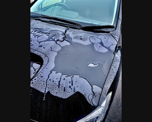 D1D63C79-8AEA-4ECA-AF56-9735DFC06A76