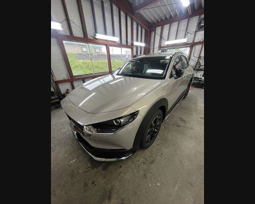 7B6C6EE2-EB2C-4959-9871-DB2C2BD373EF