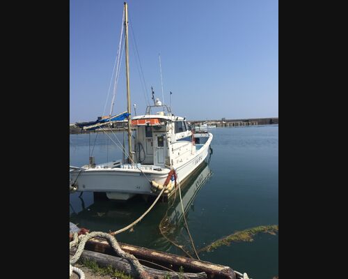 DE15F85F-E674-40AC-B029-195242CD0304